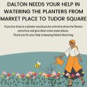 Dalton needs your help